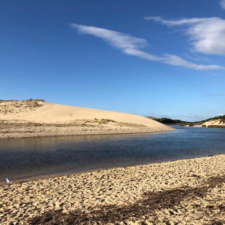 Chaleureux Appartement A 500M De L'Ocean Et 150M Du Golf Moliets-Plage Екстериор снимка